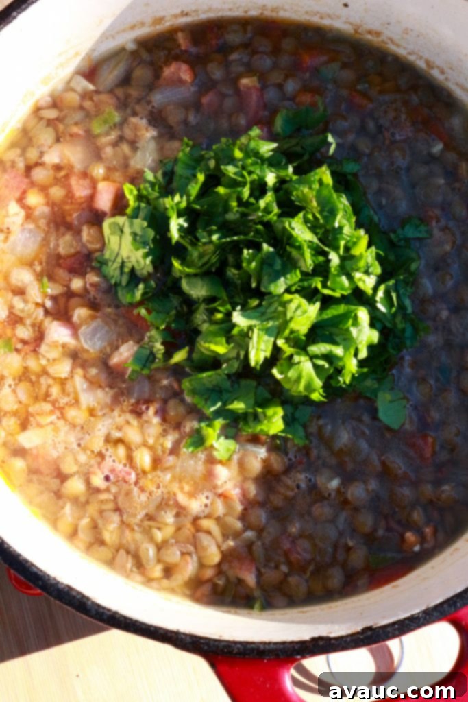 Fresh cilantro being stirred into a pot of Mexican lentil soup, adding a final touch of aroma and flavor.