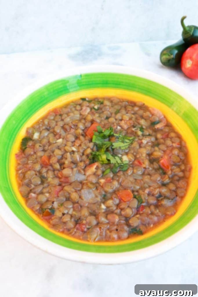 A single bowl of Mexican Lentil Soup, perfectly garnished and presented on a clean white background, highlighting its inviting colors and textures.