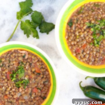 Two bowls of Mexican Lentil Soup with cilantro, jalapeños and tomatoes around them