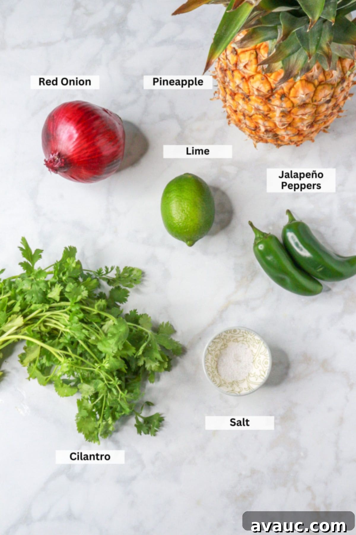 Sweet Heat Pineapple Jalapeño Salsa 4 Ingredients for Pineapple Jalapeño Salsa: Pineapple, red onion, lime, jalapeño peppers, cilantro, salt