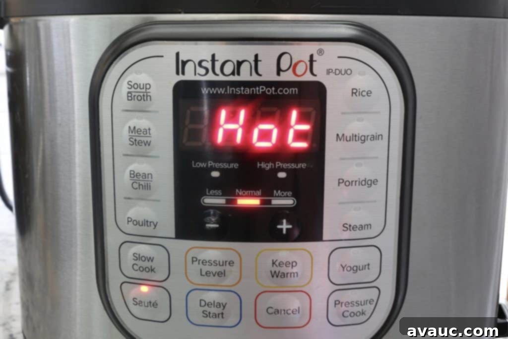 Fluffy Buttery Instant Pot Basmati Rice 3 Hot Instant Pot