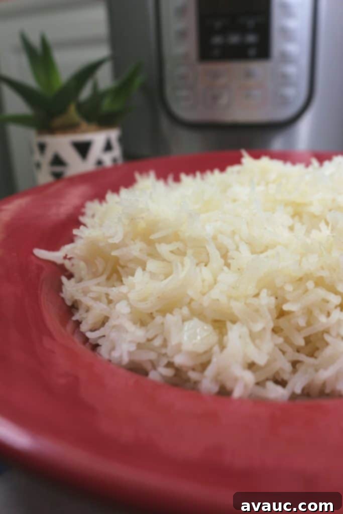 Fluffy Buttery Instant Pot Basmati Rice 6 Instant Pot Buttery Basmati Rice #instantpotbasmatirice #butteryrice