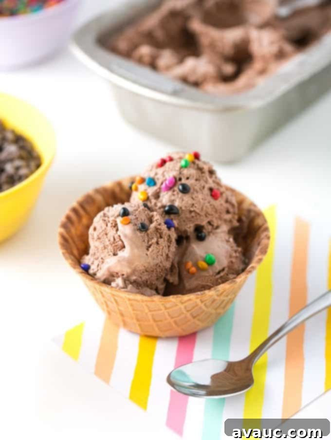 A scoop of chocolate no-churn ice cream with rainbow sprinkles in a waffle bowl