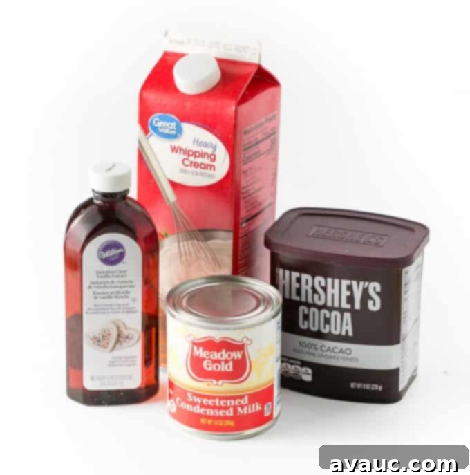 Ingredients for chocolate no-churn ice cream including heavy whipping cream, sweetened condensed milk, vanilla extract, and Hershey's cocoa powder