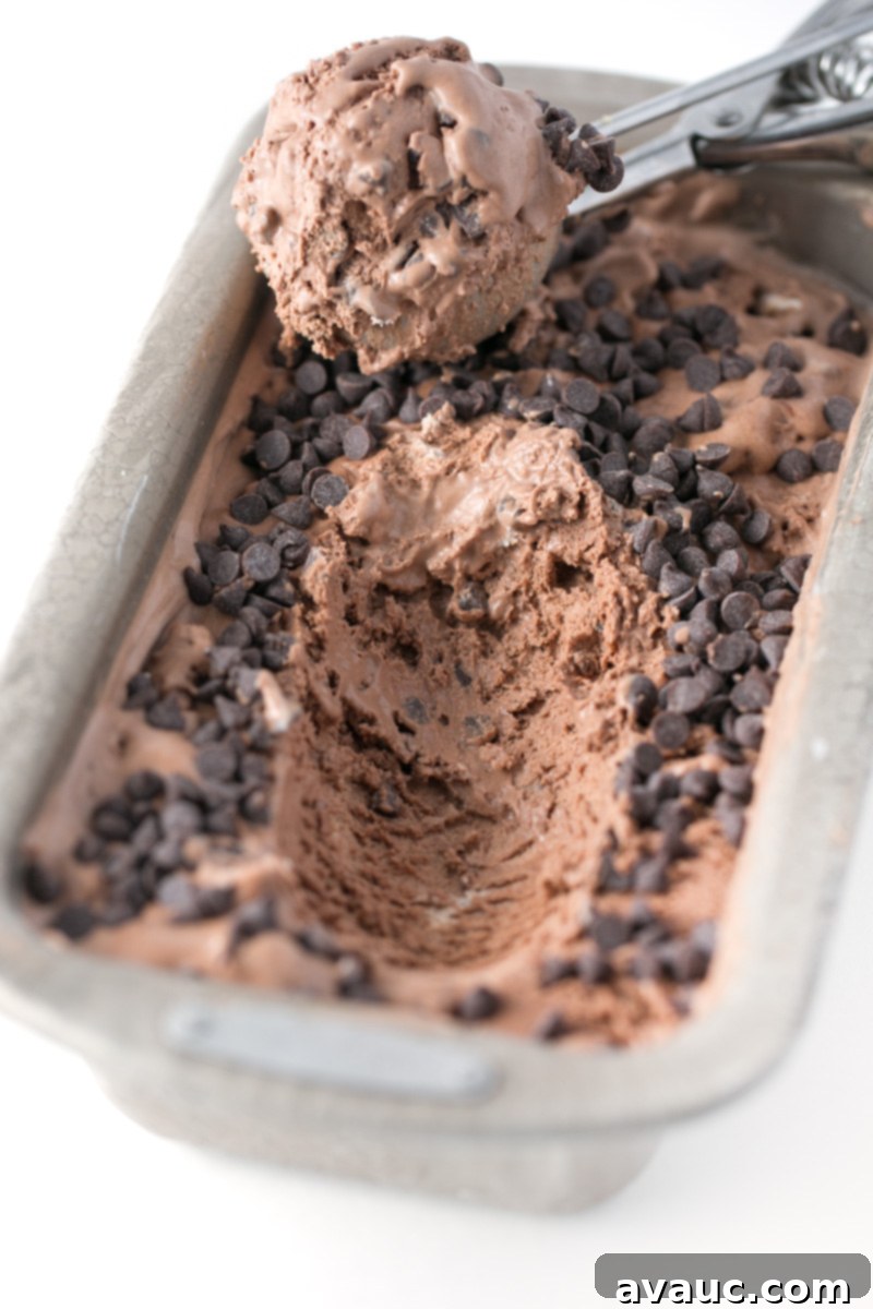 A scoop of chocolate no-churn ice cream topped with mini chocolate chips, ready to be enjoyed