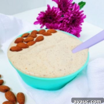 Dreamy No-Churn Banana Almond Butter Ice Cream 7 No Churn Banana-Almond Butter Ice Cream, a creamy dairy-free dessert.