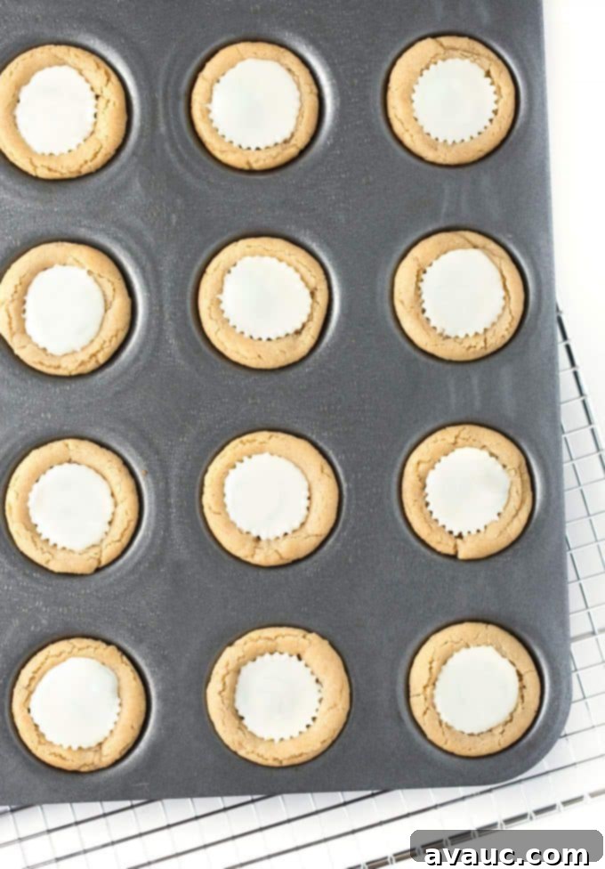 A mini muffin tin filled with peanut butter cookie cups, each featuring a white chocolate peanut butter cup at its center, cooled and ready for the next step in becoming watermelon cookie cups.