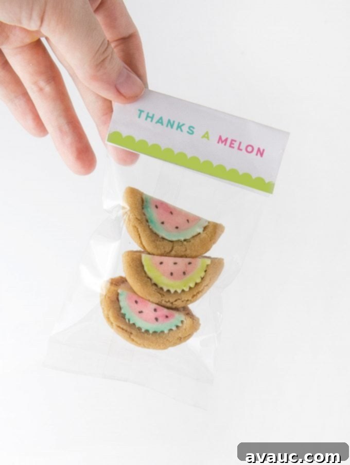 Watermelon Party Favor Treat Bags with a 'Thanks A Melon' tag, showcasing the delightful watermelon cookie cups packaged for gifting.