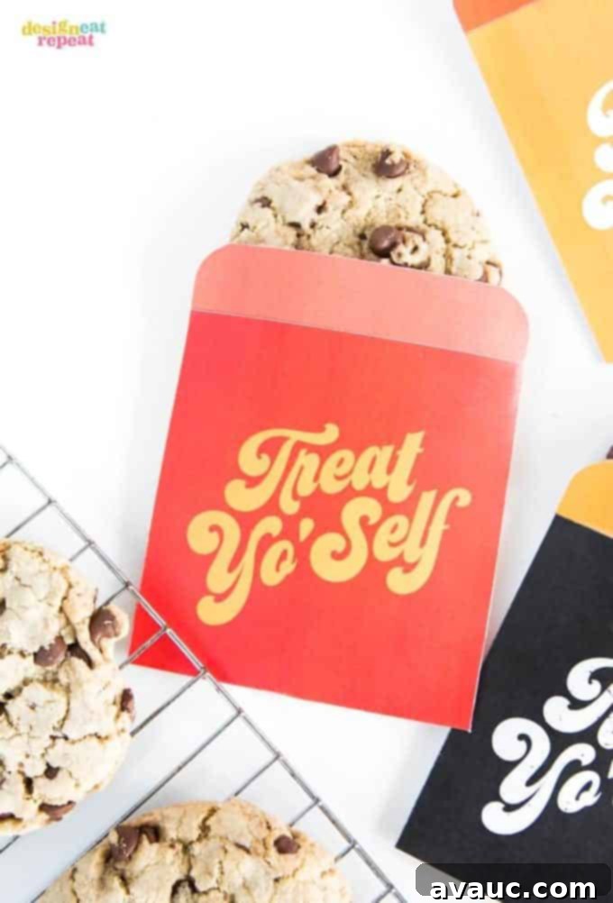 Clever Back to School Teacher Gifts Under Ten Bucks 6 Treat Yo'Self Printable Treat Bags! filled with a gift card and cookies.