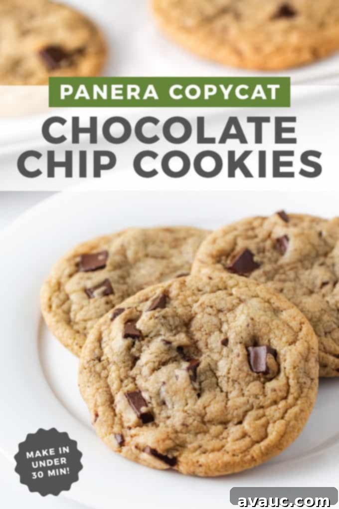 Panera's Famous Chocolate Chip Cookies at Home 2 Freshly baked copycat Panera chocolate chip cookies on a wire rack
