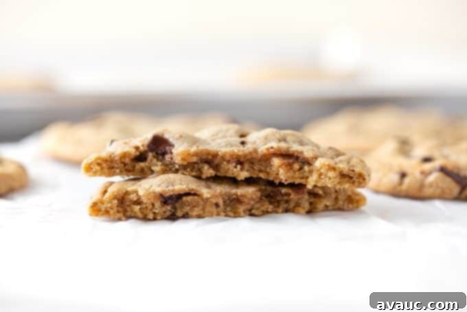Panera's Famous Chocolate Chip Cookies at Home 3 Detailed inside texture of a Panera-style chocolate chip cookie, showing melted chocolate chunks