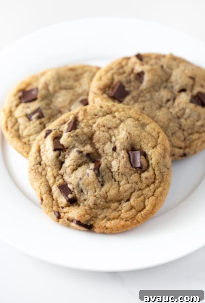 Panera's Famous Chocolate Chip Cookies at Home 4 Plate of homemade copycat Panera chocolate chip cookies