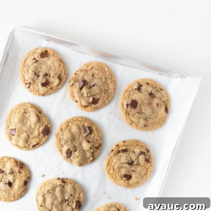 Panera's Famous Chocolate Chip Cookies at Home 10 Freshly baked copycat Panera chocolate chip cookies still on the baking tray