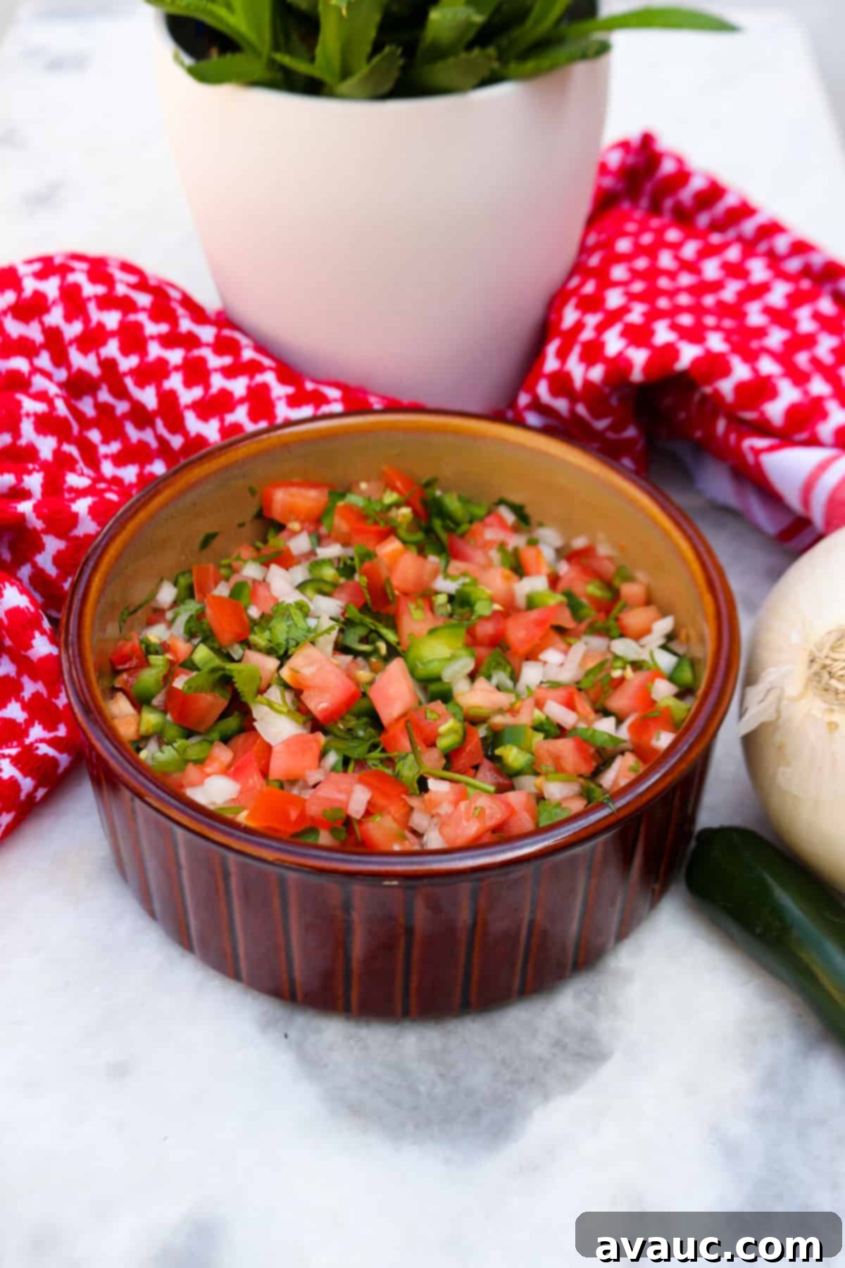 Vibrant Fresh Pico de Gallo 2 Bowl of salsa bandera with a plant and red cloth in the background
