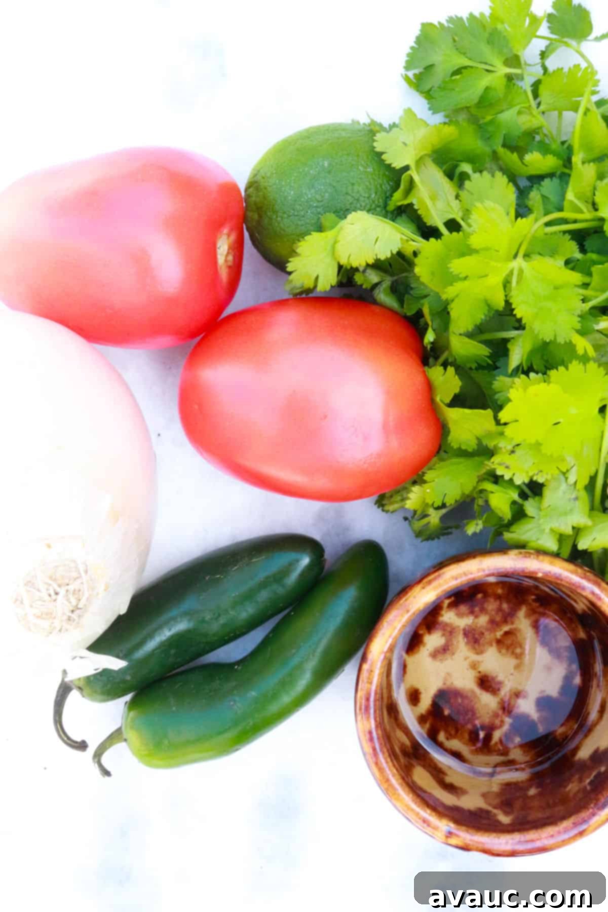 Vibrant Fresh Pico de Gallo 3 Cilantro, lime, Roma tomatoes, jalapeños, white onion and a small bowl with white vinegar