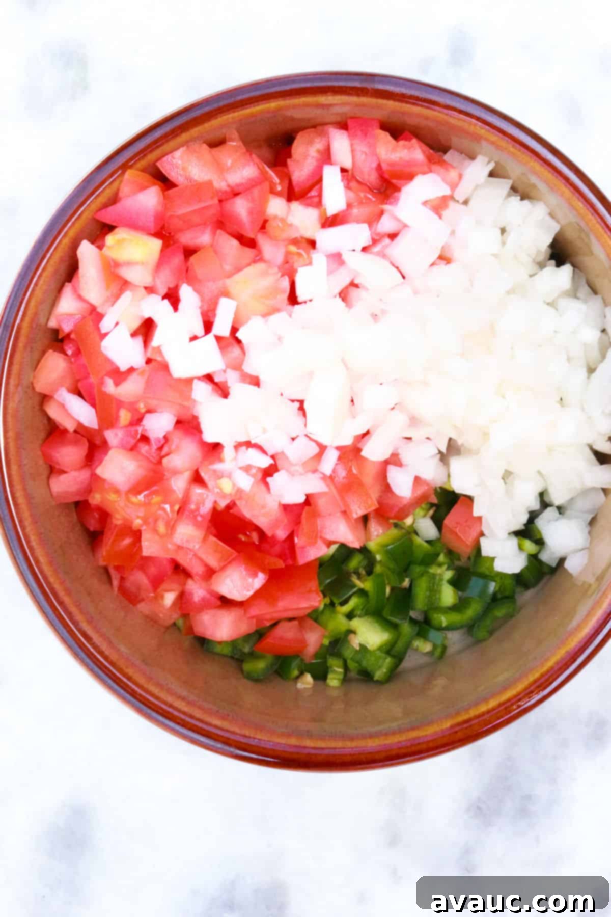 Vibrant Fresh Pico de Gallo 6 diced tomatoes, onion and jalapeño in a bowl