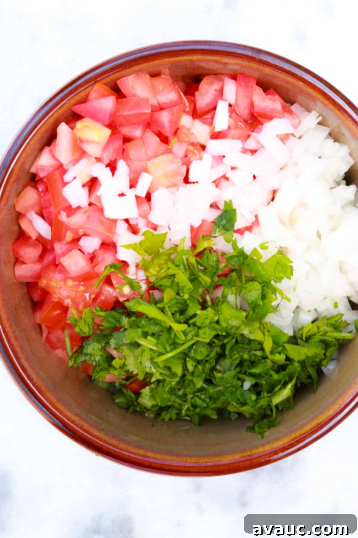 Vibrant Fresh Pico de Gallo 7 diced tomato, onion and cilantro in a bowl