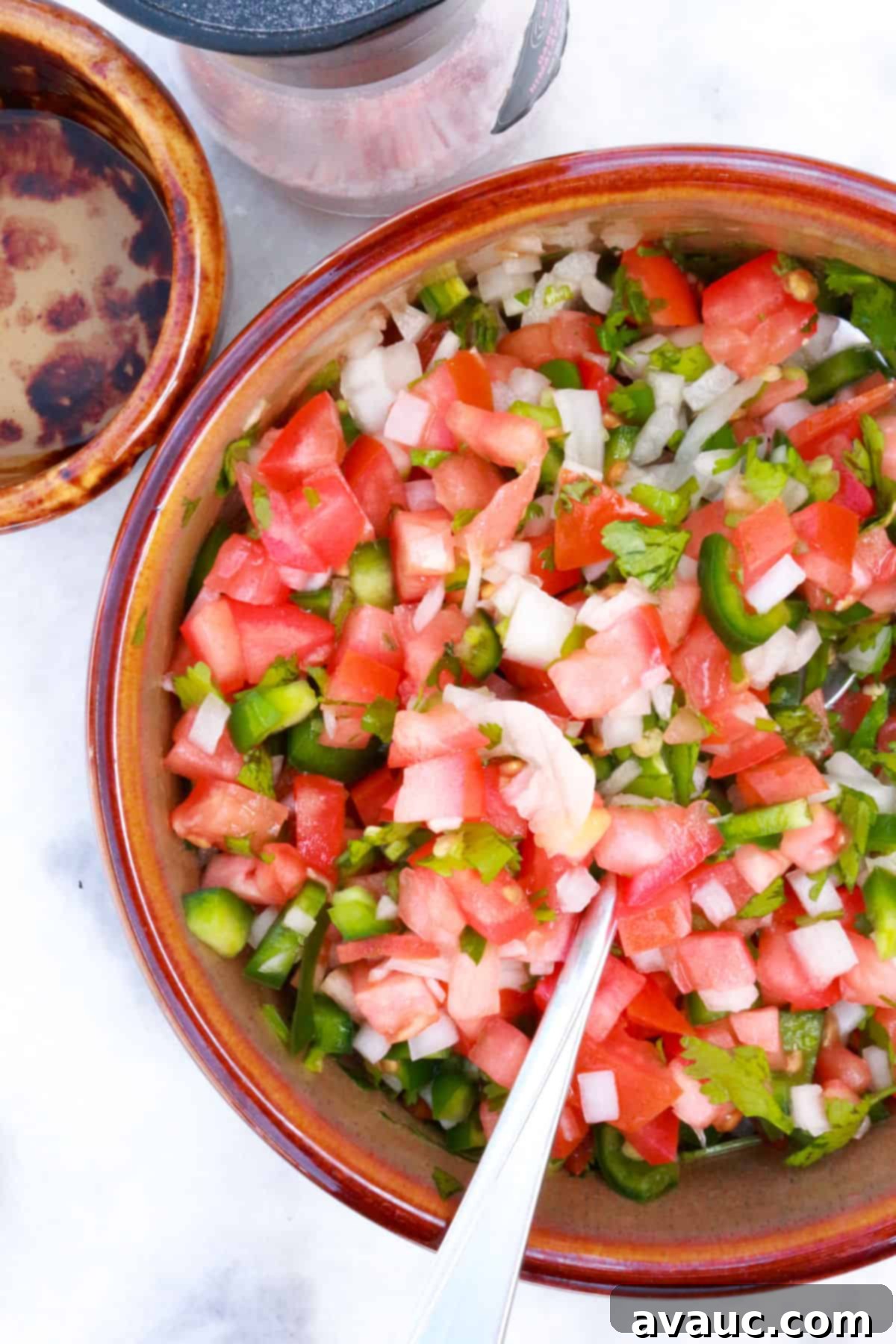 Vibrant Fresh Pico de Gallo 8 Bowl of Pico De Gallo with salt and a bowl of white vinegar behind it