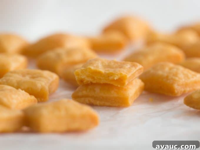 Inside flaky texture of cheddar cheese squares
