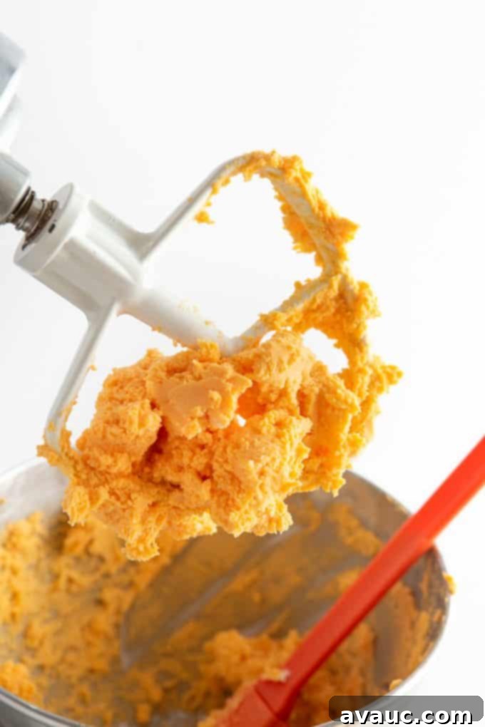 Cheese dough on Kitchenaid mixer paddle for homemade cheese crackers