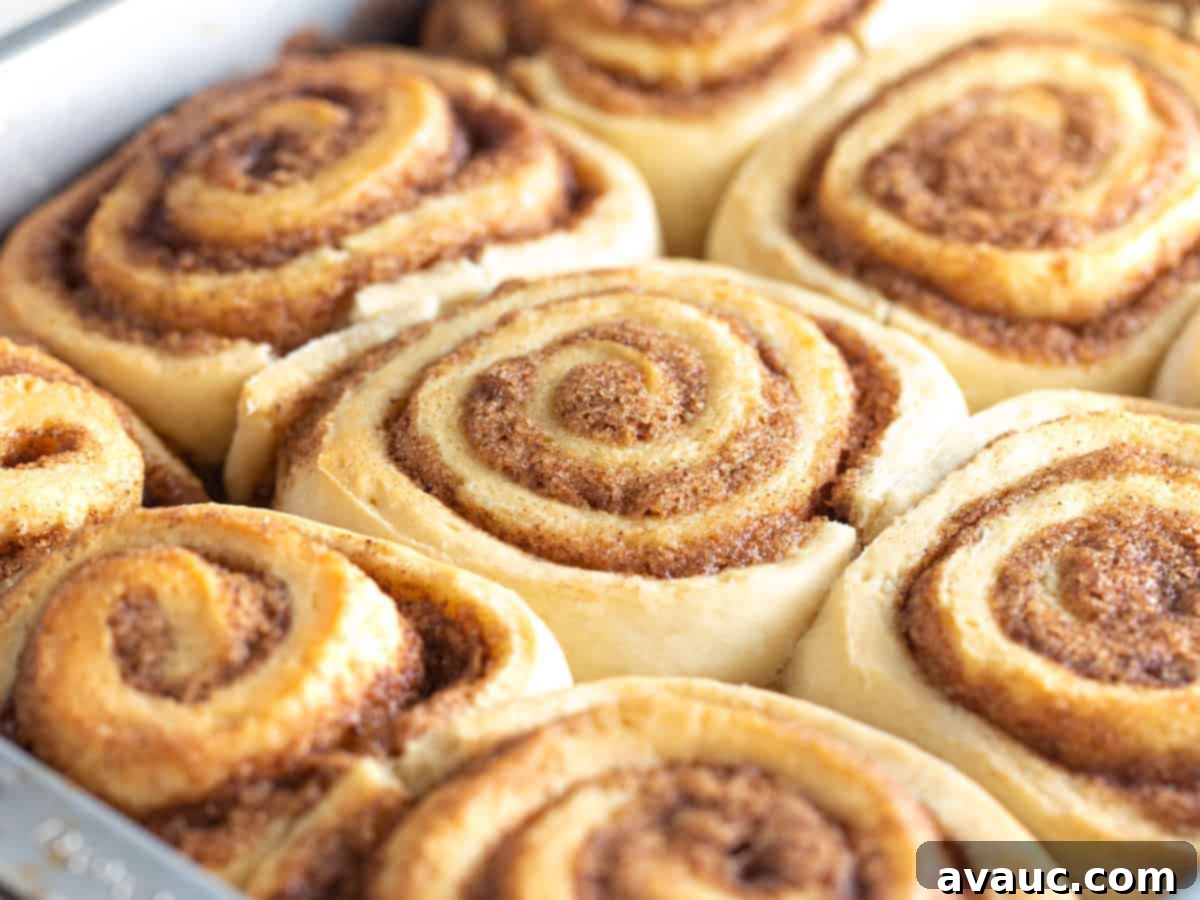 Pan of freshly baked golden 1 hour cinnamon rolls, ready for frosting