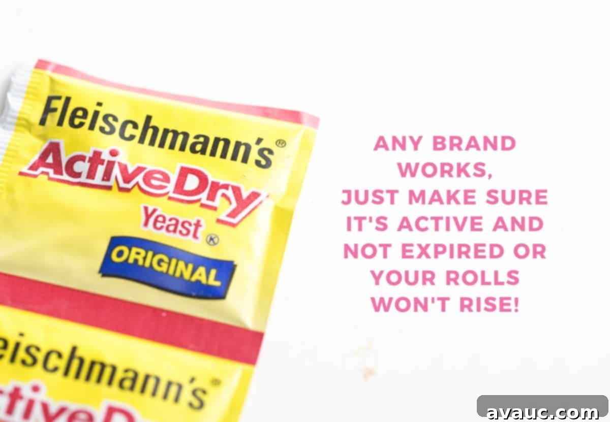 Packet of Fleischmann's Active Dry Yeast, essential for quick rise