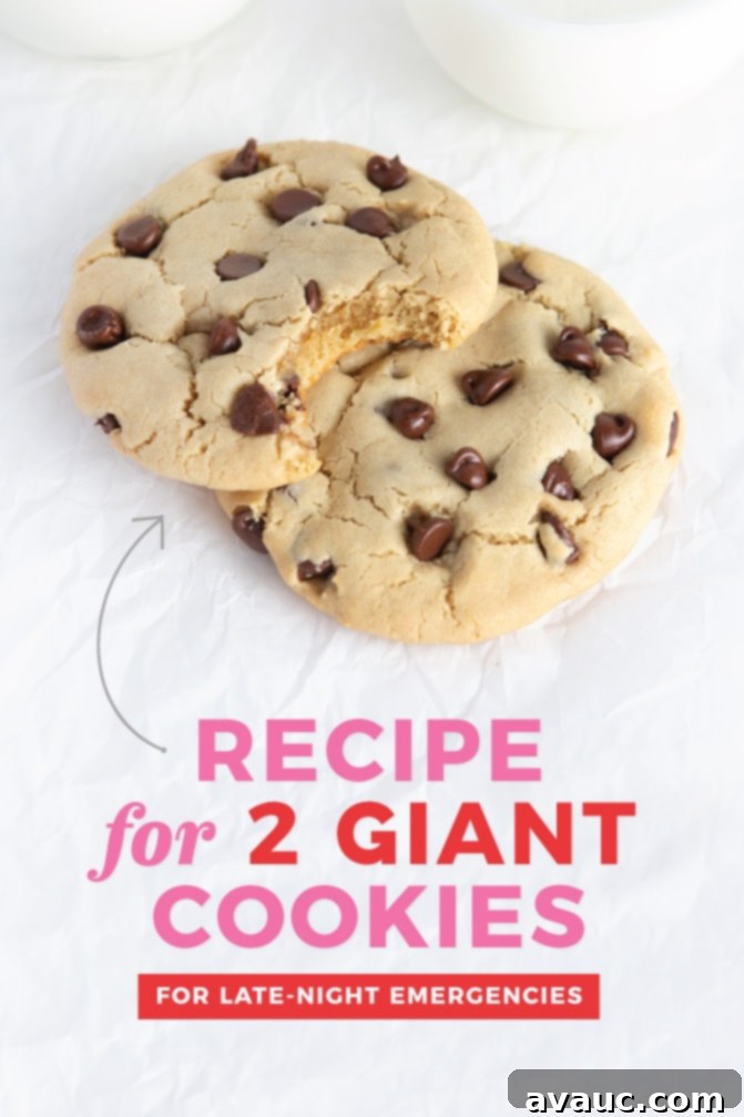 Two large bakery style chocolate chip cookies for emergency
