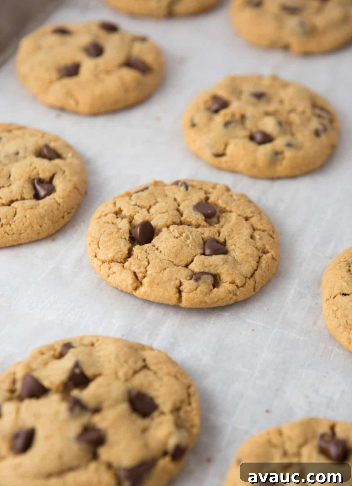 Gluten Free Peanut Butter Chocolate Chip Cookies - a stack of golden brown cookies with visible chocolate chips