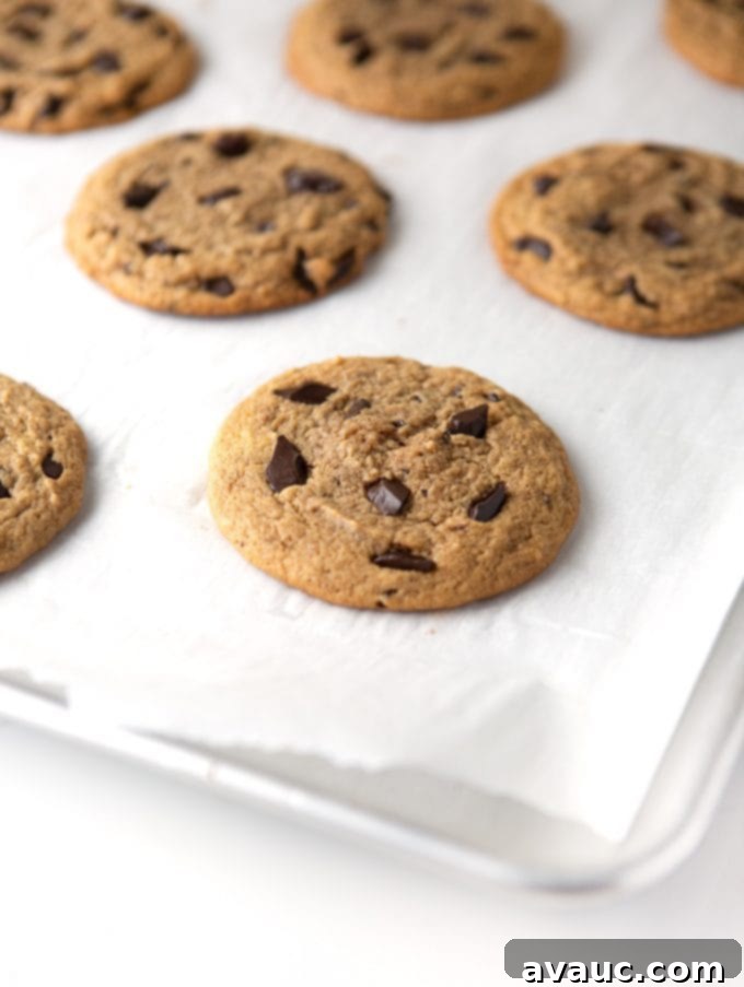 Peanut Butter Chocolate Chip Dream 2 Baking tray of peanut butter chocolate chip cookies on parchment