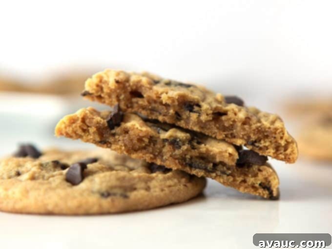 Peanut Butter Chocolate Chip Dream 11 Inside texture of stack of peanut butter chocolate chip cookies