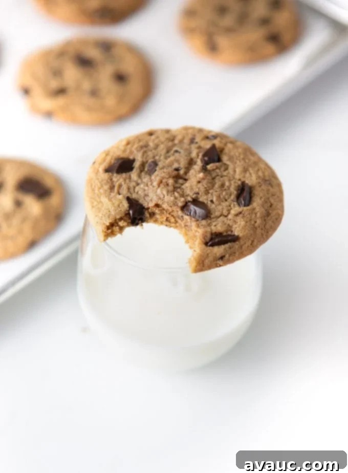 Peanut Butter Chocolate Chip Dream 12 Peanut butter chocolate chip cookie on glass of milk