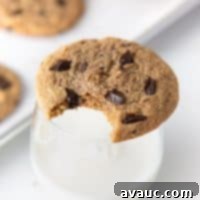 Peanut Butter Chocolate Chip Dream 14 A freshly baked peanut butter chocolate chip cookie.