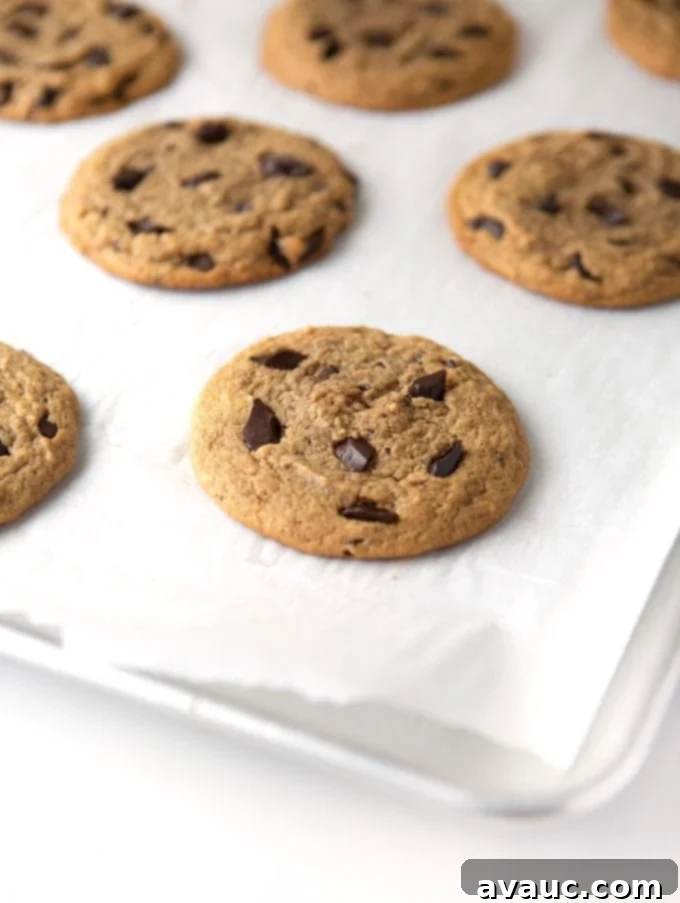 Peanut Butter Chocolate Chip Dream 10 Baking tray of peanut butter chocolate chip cookies on parchment