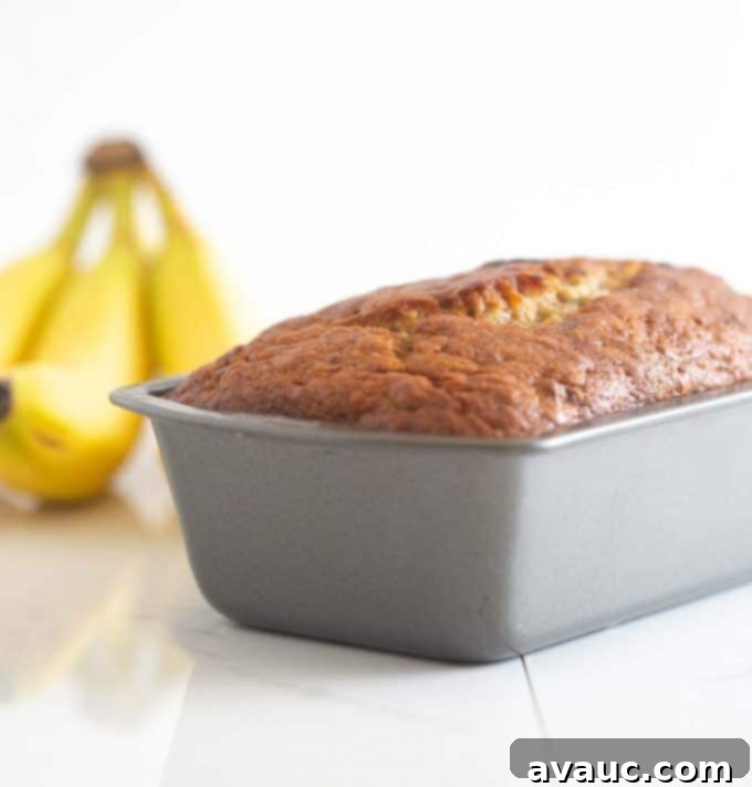 Melt-in-Your-Mouth Banana Bread Perfection 5 Metal loaf pan with banana bread baking, showing a golden top and even rise.