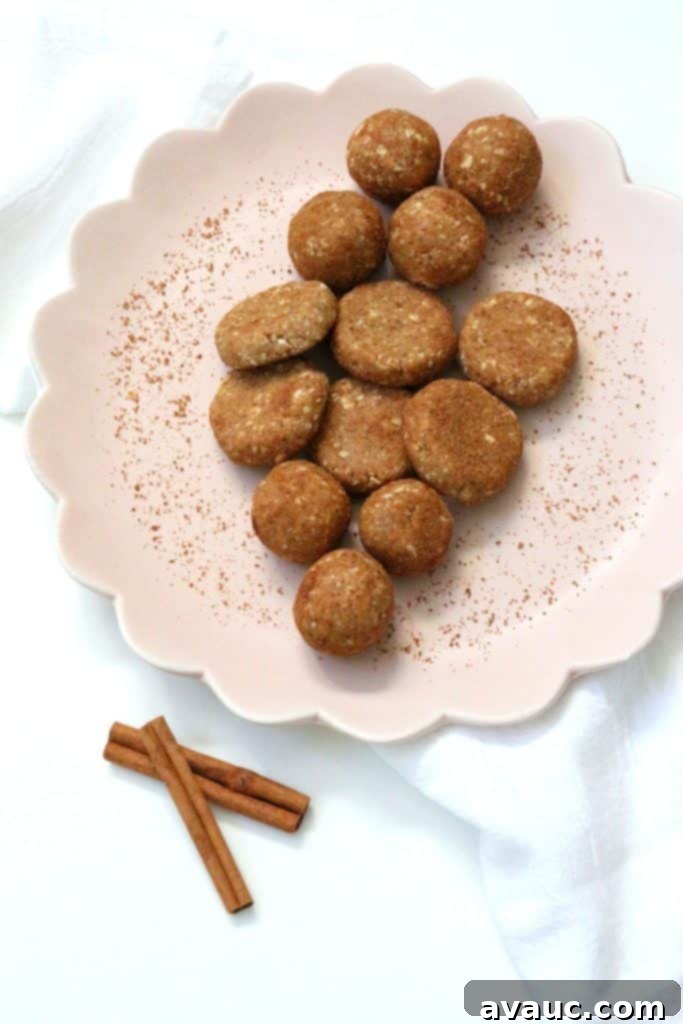 Delicious Kid-Approved Coconut Cinnamon Energy Bites, perfect for healthy lunchboxes and gluten-free snacks.