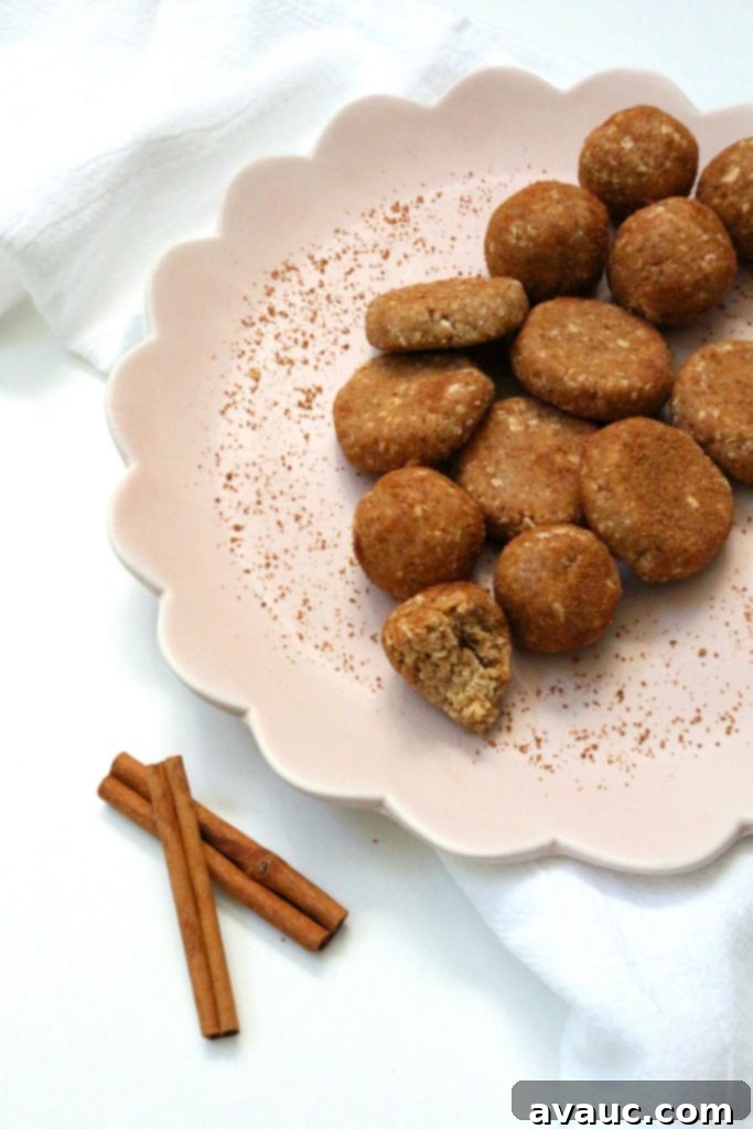 Plate of finished Kid-Approved Coconut Cinnamon Energy Bites, a healthy and gluten-free snack option.