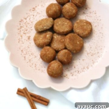 Kids' Favorite Coconut Cinnamon Power Bites 7 Kid-Approved Coconut Cinnamon Energy Bites #coconutcinnamonbites #healthykidfoods #glutenfreesnacks
