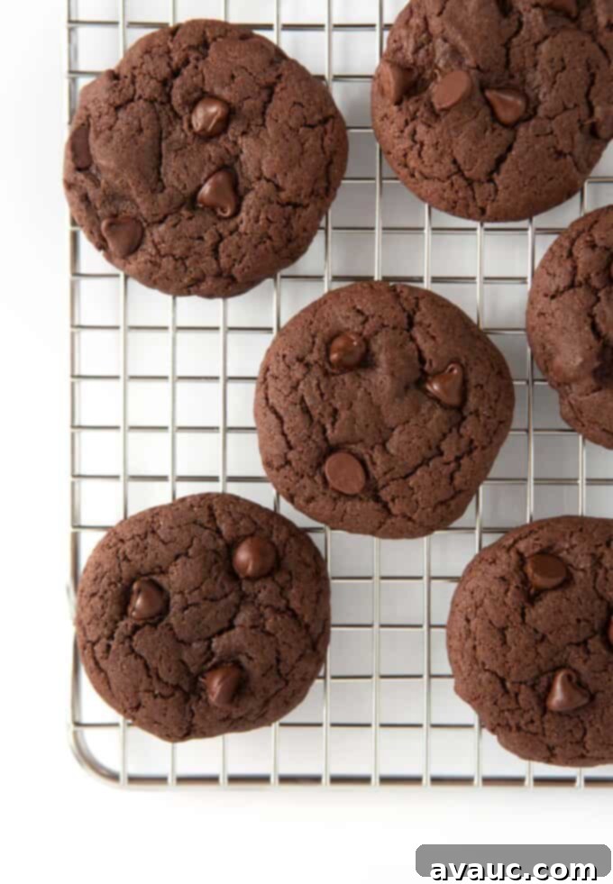 Easy Chocolate Cake Cookies 8 Freshly baked chocolate cake mix cookies cooling on a wire rack, glistening with melted chocolate chips.