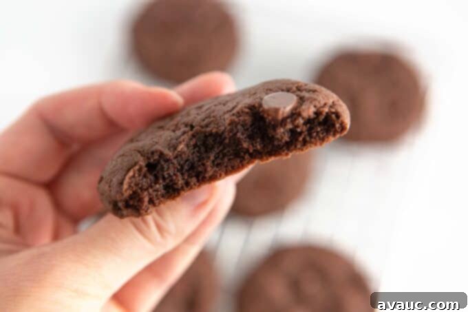 Easy Chocolate Cake Cookies 9 A close-up of a chocolate cake mix cookie with a bite removed, highlighting its soft, fudgy, and moist internal texture.