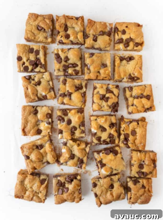 Cut s'more cookie bars in squares