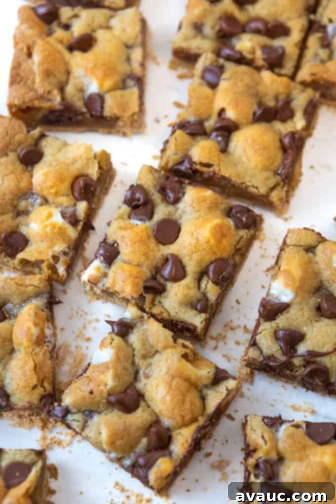 cut s'more cookie bars squares