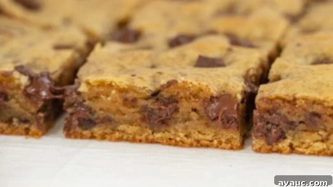 Irresistible Chocolate Chip Squares 5 Close-up of a bowl filled with raw chocolate chip cookie dough.