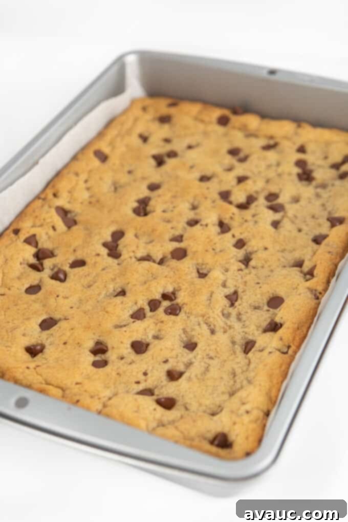 Irresistible Chocolate Chip Squares 9 A baked pan of chocolate chip cookie bars, golden brown and still warm, on a cooling rack.