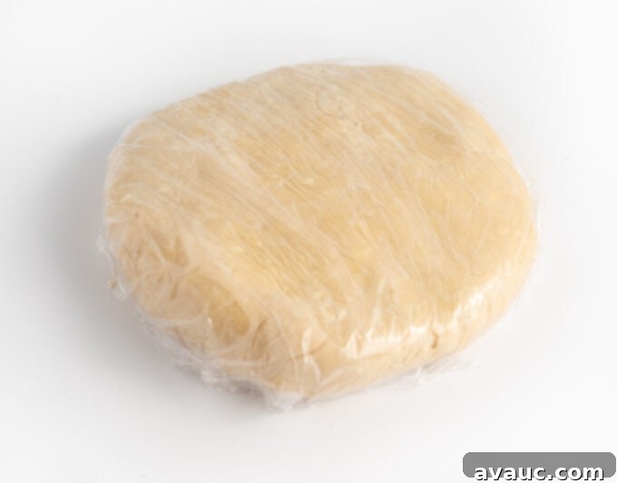 Sugar cookie dough flattened into a disc and wrapped tightly in plastic wrap for freezing