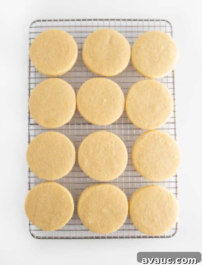 unfrosted circle sugar cookies resting on a cooling rack