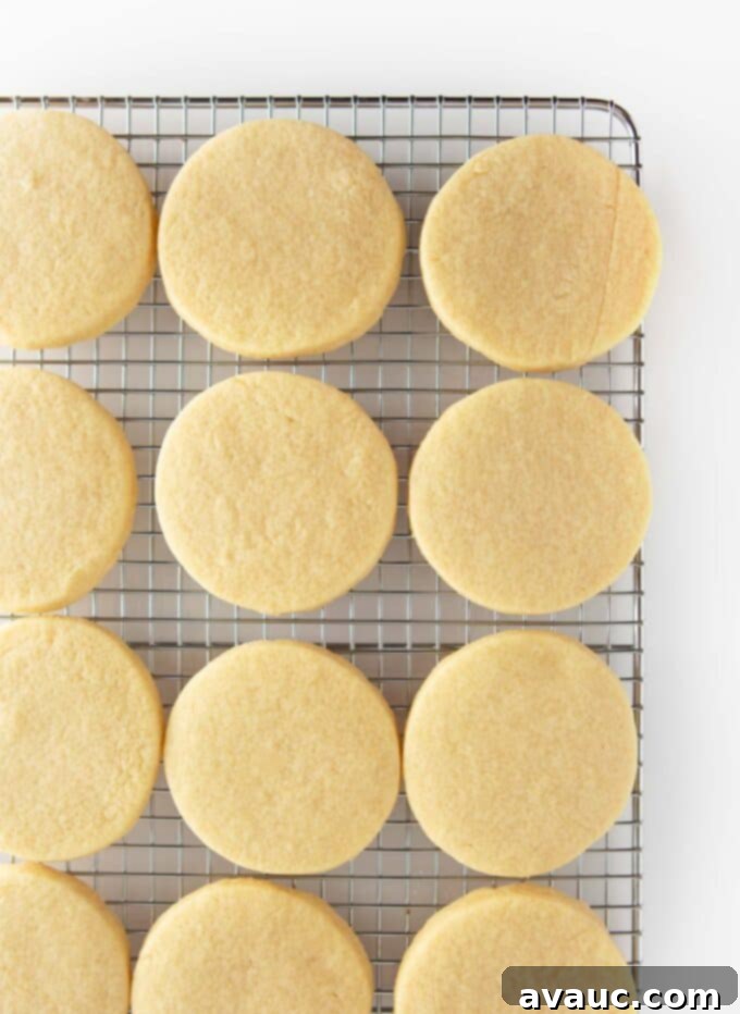 Round Gingerbread Man Sugar Cookies 5 Unfrosted round sugar cookies cooling on a wire rack.