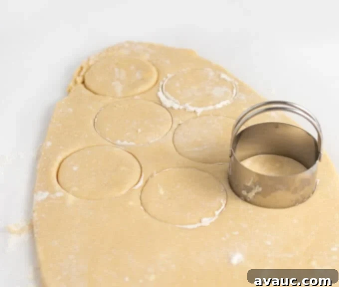 5 Easy Winter Cookie Recipes 3 An array of beautifully decorated round winter cookies, including a snowman, a polar bear, and a snowflake, arranged on a light surface.