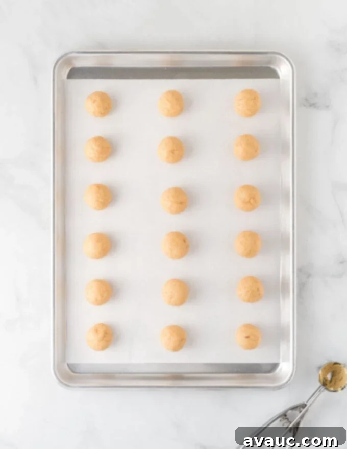 Gourmet Sugar Cookie Truffles 8 tray of frozen sugar cookie balls, perfectly rounded and ready for dipping
