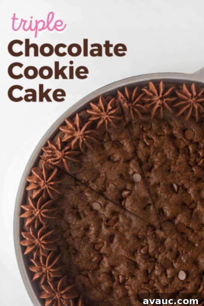 Decadent Triple Chocolate Cookie Cake 2 triple chocolate cookie cake with chocolate buttercream frosting