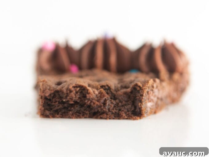 Decadent Triple Chocolate Cookie Cake 11 slice of triple chocolate cookie cake with bite to show soft texture